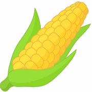 Connors Farm
