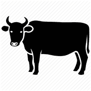 Cooper Ranch Grass Fed Beef