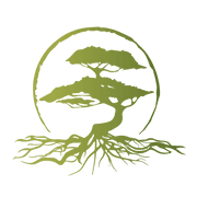 Cypress Roots