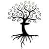 Daily Roots