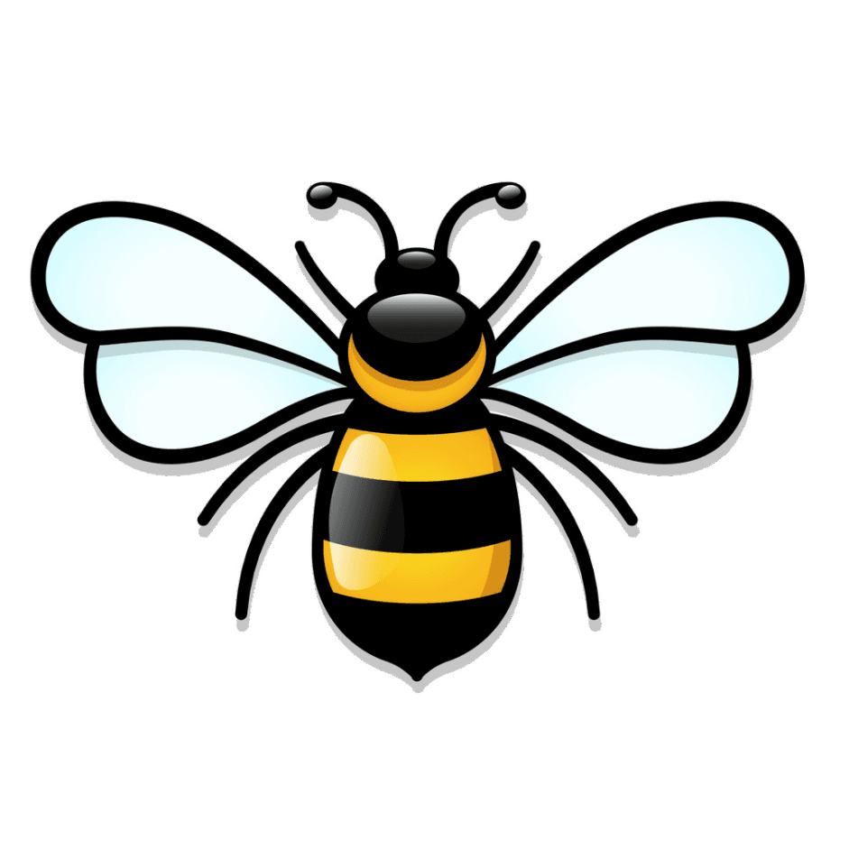 Dave's Backyard Bees