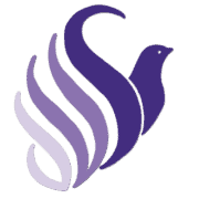 Domestic Violence Services of Snohomish County