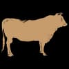 El Che Meat & Provisions