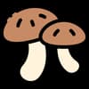 Enchanted Mushrooms