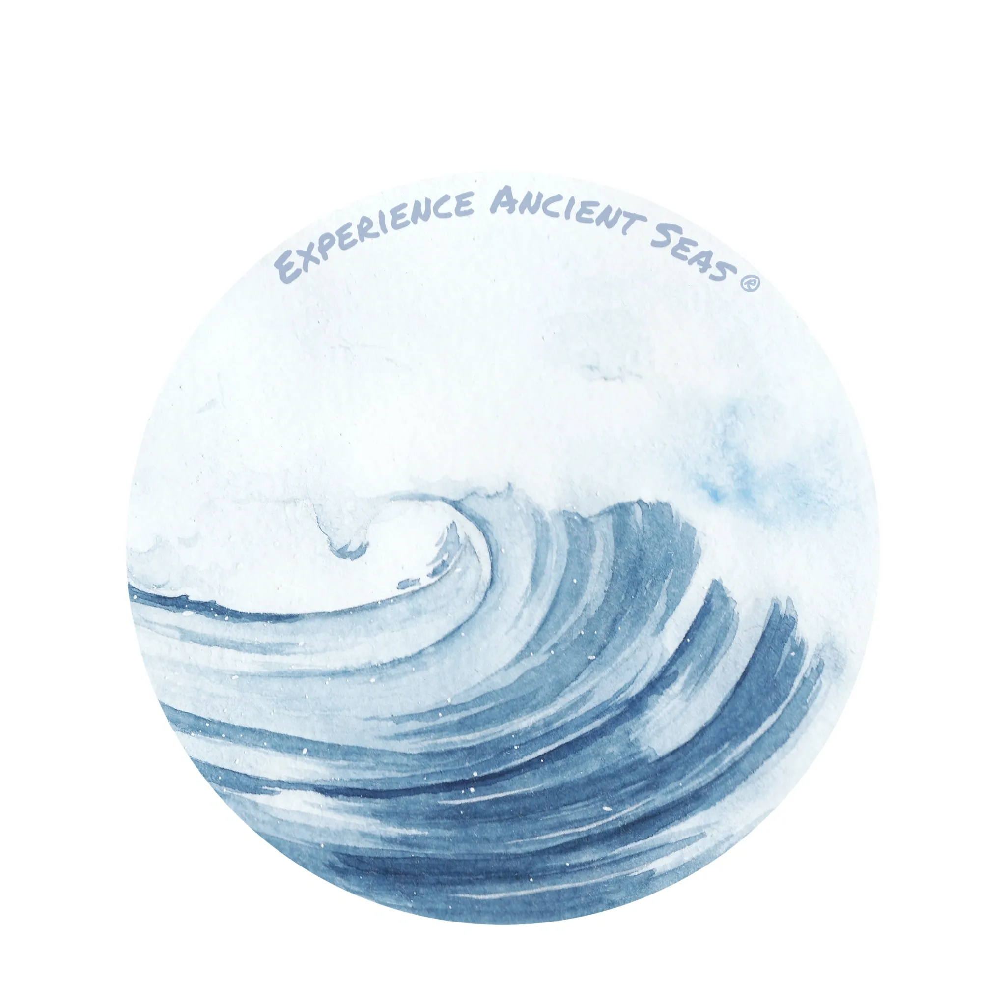 Experience Ancient Seas