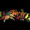 Farmer Tim's Vegetables