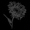 Fieldstone Garden