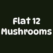Flat #12 Mushrooms