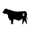 Gabriel Premium Beef
