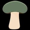 Hazel Dell Mushrooms