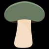 Hazel Dell Mushrooms LLC