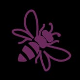 Honest Elderberry