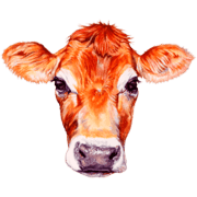 Ithaca Milk