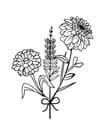 Jamie's Dahlias and Flower Farm