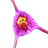 J&L Orchids
