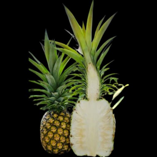 Kaua'i Sugarloaf Pineapple Farm