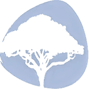 Koa Roots