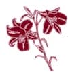 Lilies of the Field