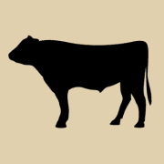 Lone Mountain Cattle Company