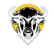 Lykens Valley Bison