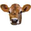 Marcoot Jersey Creamery