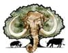 Mastodon Valley Farm