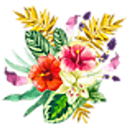 Maui Carnation Farm