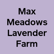 Max Meadows Lavender Farm
