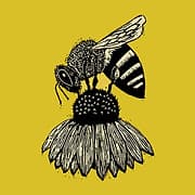 Messner Bee Farm Store!