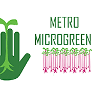Metro Microgreens