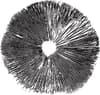 Midway Mushrooms