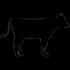 Millbrook Beef & Dairy