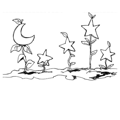 Moon Beam Farm