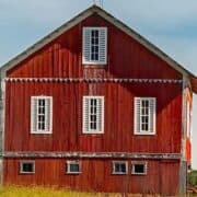 Morrigan's Walk Farm
