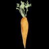 Mountain Roots Food Project