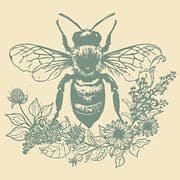 Mountain View Bees