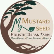 My Mustard Seed Refuge