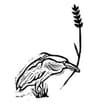 Night Heron Bread