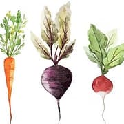 Oregon Road Organics