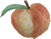 Peachwood Orchard