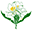 Pine Island Botanicals, Inc