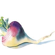 Pound Ridge Organics Farm, Food CoOp, Market and Teaching Kitchen