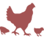Punachicks Farm