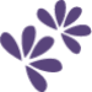 Purple Lavender Farm