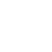 Revolution Bees