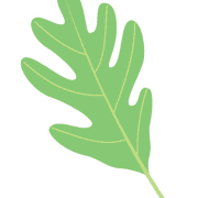 Riley Native Plant Nursery