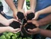Rise & Root Farm