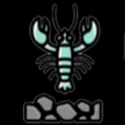 Rocky Bottom Fisheries