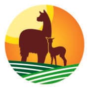 S&B Bell Farms