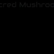 Sacred Mushrooms